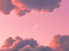 Cotton main 👑🎀 🐭❤