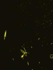 행크코너 반딧불이 시리즈