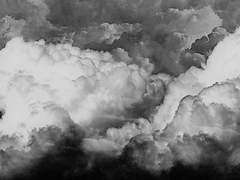 [속보] 스코틀랜드 에버딘서 순수혈통 우월주의자들의 테러 발생... 에버렛 家의 선전포고?