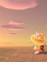 모여봐요 바쿠토도숲