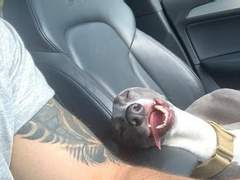 거미수호자+몰락자수호자 짧썰 백업 16