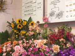 [리들유페] 파란장미