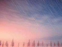 [토니피터] C Major