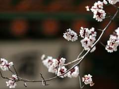 [승수경민] 三緣之合(삼연지합)