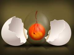 [국민] 박지민 공략법. 2