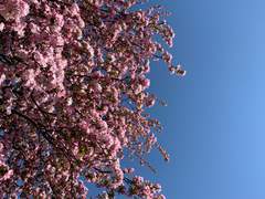 글쓰기 루틴은 어떻게 정해야할까?