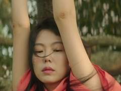 미찌꼬의 호사가들