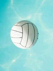 덕질 쌉소리 백업