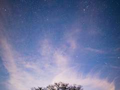 [젊토니피터] Daydream 01