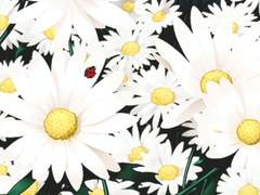 첫사랑의 데시벨 07.