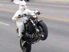 희페스 짧은 썰 모음