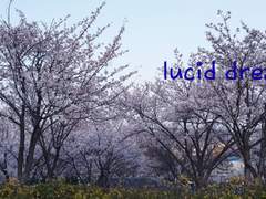 [태희여주] lucid dreaming