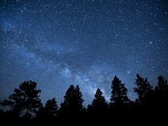 고요한 여름밤.