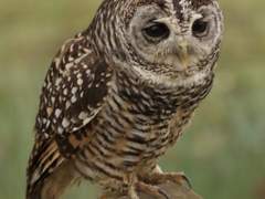 𝙴𝚟𝚎𝚗𝚝 𝚂𝚝𝚘𝚛𝚢