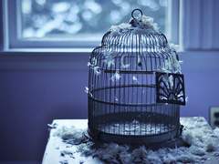 [드레해리] 새장