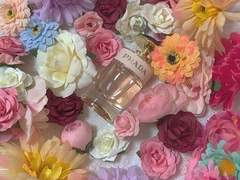 화려한 배경에 목매는 것보다는