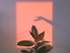 [순부] 실감이 난다는 것은,