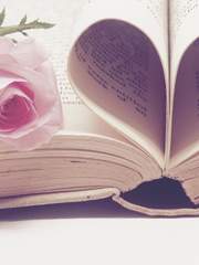 사벨 타이만 백업 리스트