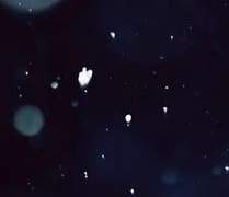 [완결] 썬더 추천 W.바인