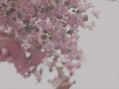 사무치게 그리운, 그 꿈