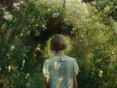 여름의 미로를 따라.