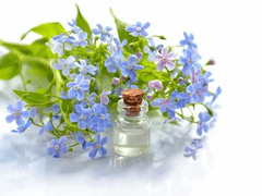 나의 모든 것을 돌려주세요. 나의 행복을, 당신의 행복을, 우리 모두의 행복을.