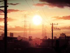 '마법부는 순수혈통의 개나 다름없다'? 불사조 기사단의 막장 행보!