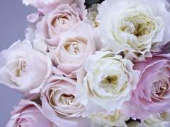 머리가 좋으면 몸이 고생을 안한다.