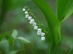 끝없는 악몽의 구렁텅이에서, 오늘도.