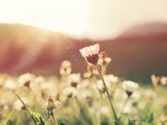 [엘런리바] 문득 찾아온 봄처럼 上