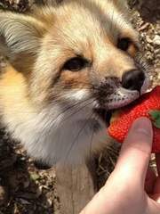 로드오브히어로즈