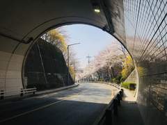 퀄러티 오브 라이프