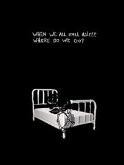 WHEN WE ALL FALL ASLEEP,
