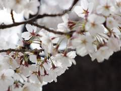 육아예능하는 원휘 외전