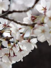 보고싶다, 이런모습