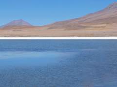 Menu - Edit - Fill - Contents: Content-Aware