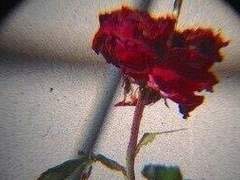 그래, 우리 함께:11