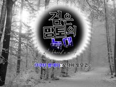 검은 망토의 늑대