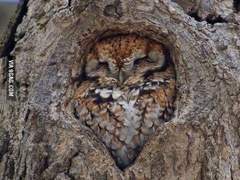 𝚉𝚢𝚣𝚢’𝚜 𝙳𝚒𝚊𝚛𝚢