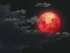 [사마지로] Vintage wine