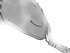 원고 리퀘스트 모음