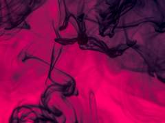 [DCD/츠카이] Amortentia 下