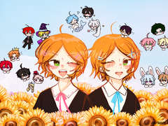 Looking Glass 후기