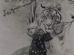 [뷔진] 호랑수월가 起