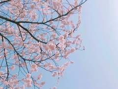 그대에 대하여, 16