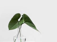 { 납엘 } 결혼식