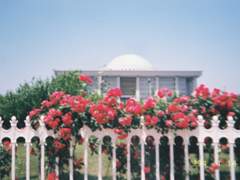 밥 먹고 국회 한 바퀴