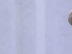 피카츄의 본체 中 (5)