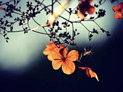 너의 친절과 상냥함에,