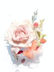 Marrien Agata Evelia